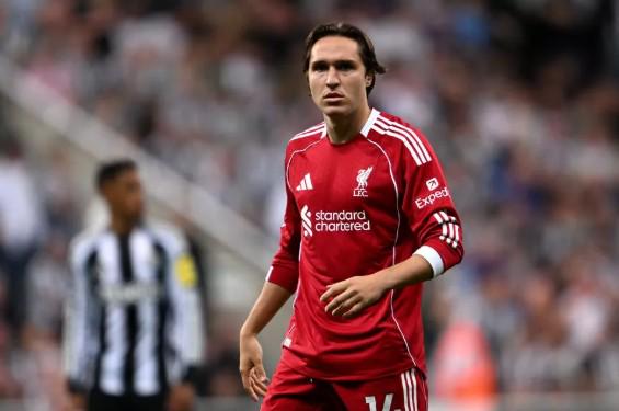 美法官裁定,暂时放宽对,政府效率部,广州赛马,广州赛马场,赛马赛事,马术文化