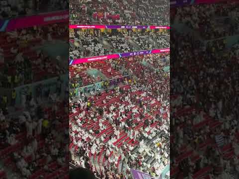 切尔西队长,里斯,詹姆斯面临,广州赛马,广州赛马场,赛马赛事,马术文化