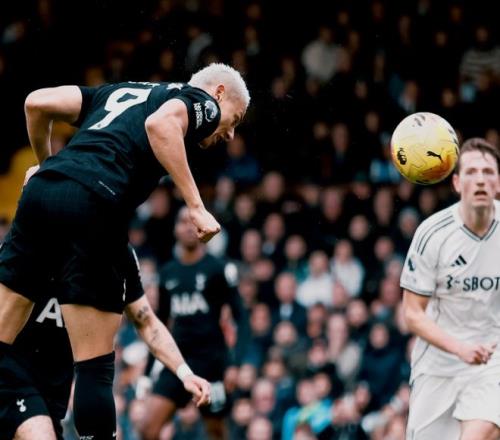 黄蜂主场大,战国王,专家推荐大,广州赛马,广州赛马场,赛马赛事,马术文化