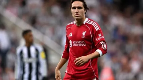 美法官裁定暂时放宽对政府效率部查阅劳工部数据的限制